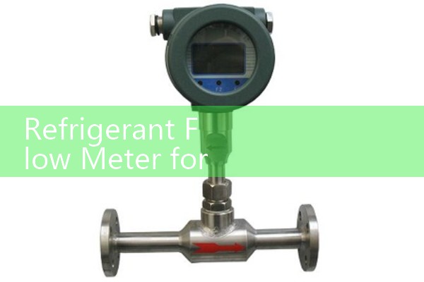Refrigerant Flow Meter for Cold Storage: Reliable Flow Data in Sub-Zero Vaults